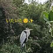 ヒメ日記 2026/09/26 20:28 投稿 佐々岡雪菜 五十路マダムエクスプレス横浜店（カサブランカグループ）