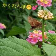 ヒメ日記 2026/09/30 15:14 投稿 佐々岡雪菜 五十路マダムエクスプレス横浜店（カサブランカグループ）