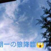 ヒメ日記 2026/10/20 08:44 投稿 佐々岡雪菜 五十路マダムエクスプレス横浜店（カサブランカグループ）