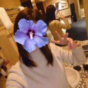 ヒメ日記 2025/04/01 19:26 投稿 はるひ 柏人妻花壇