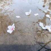 ヒメ日記 2025/04/08 10:41 投稿 はるひ 柏人妻花壇