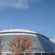 ヒメ日記 2025/05/20 11:00 投稿 はるひ 柏人妻花壇