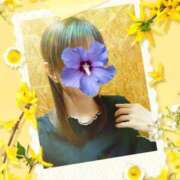 ヒメ日記 2025/05/25 13:04 投稿 はるひ 柏人妻花壇