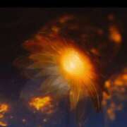 ヒメ日記 2025/06/20 09:47 投稿 はるひ 柏人妻花壇