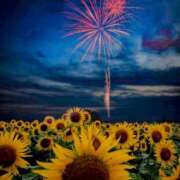 ヒメ日記 2025/06/21 10:28 投稿 はるひ 柏人妻花壇