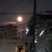 ヒメ日記 2025/08/10 09:39 投稿 はるひ 柏人妻花壇