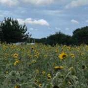 ヒメ日記 2025/08/20 10:10 投稿 はるひ 柏人妻花壇