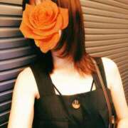 ヒメ日記 2025/09/17 13:52 投稿 はるひ 柏人妻花壇