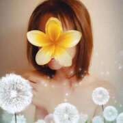 ヒメ日記 2025/11/05 09:27 投稿 はるひ 柏人妻花壇