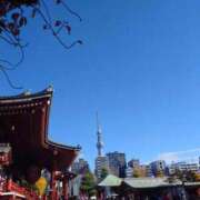 ヒメ日記 2025/11/22 15:50 投稿 はるひ 柏人妻花壇