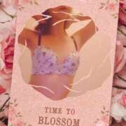 ヒメ日記 2025/11/30 14:30 投稿 はるひ 柏人妻花壇