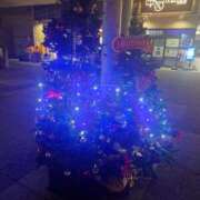 ヒメ日記 2025/12/01 18:21 投稿 はるひ 柏人妻花壇