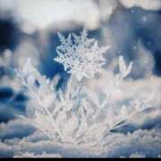 ヒメ日記 2025/12/17 09:57 投稿 はるひ 柏人妻花壇