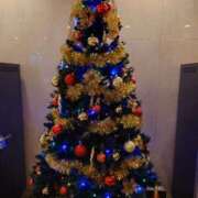 ヒメ日記 2025/12/20 10:34 投稿 はるひ 柏人妻花壇