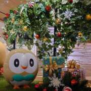 ヒメ日記 2025/12/21 10:58 投稿 はるひ 柏人妻花壇