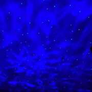 ヒメ日記 2025/12/26 17:52 投稿 はるひ 柏人妻花壇