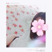 はるひ 本日のキーワード！ 柏人妻花壇