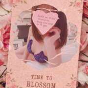 はるひ 本日のキーワード！ 柏人妻花壇