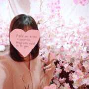 ヒメ日記 2026/02/21 09:12 投稿 はるひ 柏人妻花壇