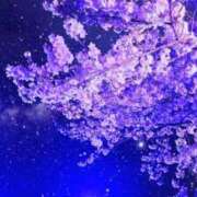 ヒメ日記 2026/03/26 09:53 投稿 はるひ 柏人妻花壇