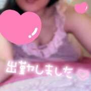 ヒメ日記 2025/05/28 12:39 投稿 ルミ セクシーキャット 小田原店