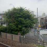 ヒメ日記 2025/04/25 11:49 投稿 紗季(さき) エリートな人妻たち新宿