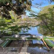 ヒメ日記 2025/04/28 12:09 投稿 紗季(さき) エリートな人妻たち新宿