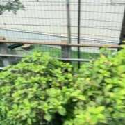 ヒメ日記 2025/07/17 14:39 投稿 紗季(さき) エリートな人妻たち新宿