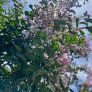 ヒメ日記 2025/07/18 13:29 投稿 紗季(さき) エリートな人妻たち新宿