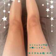 ヒメ日記 2025/06/05 10:01 投稿 のの ロイヤル土佐