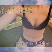 ヒメ日記 2025/06/14 06:30 投稿 のの ロイヤル土佐