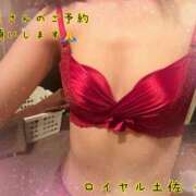 ヒメ日記 2025/06/18 12:45 投稿 のの ロイヤル土佐