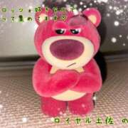 ヒメ日記 2025/10/20 11:15 投稿 のの ロイヤル土佐