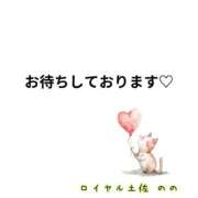 ヒメ日記 2025/10/31 10:01 投稿 のの ロイヤル土佐