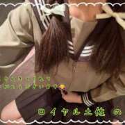 ヒメ日記 2025/11/01 04:30 投稿 のの ロイヤル土佐