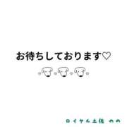 ヒメ日記 2025/12/08 02:30 投稿 のの ロイヤル土佐