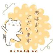 ヒメ日記 2025/12/09 10:01 投稿 のの ロイヤル土佐