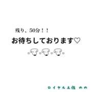 ヒメ日記 2025/12/09 15:15 投稿 のの ロイヤル土佐