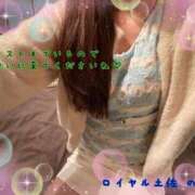 ヒメ日記 2025/12/28 13:15 投稿 のの ロイヤル土佐