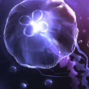 ヒメ日記 2025/03/20 10:18 投稿 ゆず 美熟女倶楽部Hip's 春日部店