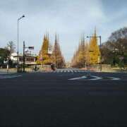 ヒメ日記 2025/09/28 22:39 投稿 いろは 成田人妻花壇