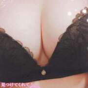 ヒメ日記 2025/10/15 18:27 投稿 いろは 成田人妻花壇