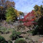 ヒメ日記 2025/11/16 00:30 投稿 いろは 成田人妻花壇