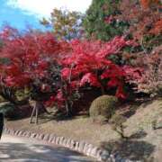 ヒメ日記 2025/11/26 23:14 投稿 いろは 成田人妻花壇