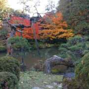 ヒメ日記 2025/12/30 19:38 投稿 いろは 成田人妻花壇