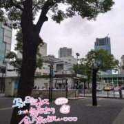 ヒメ日記 2026/09/11 16:39 投稿 いろは 成田人妻花壇