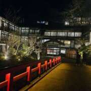 ヒメ日記 2025/03/20 12:04 投稿 ひかり 白いぽっちゃりさん