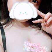 ヒメ日記 2025/04/20 13:02 投稿 ひかり 白いぽっちゃりさん