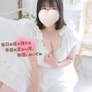 ヒメ日記 2025/05/31 12:04 投稿 ひかり 白いぽっちゃりさん