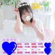 ヒメ日記 2025/06/13 12:03 投稿 ひかり 白いぽっちゃりさん